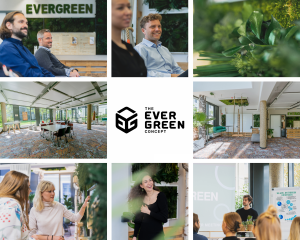 Impressionen_The Evergreen Concept